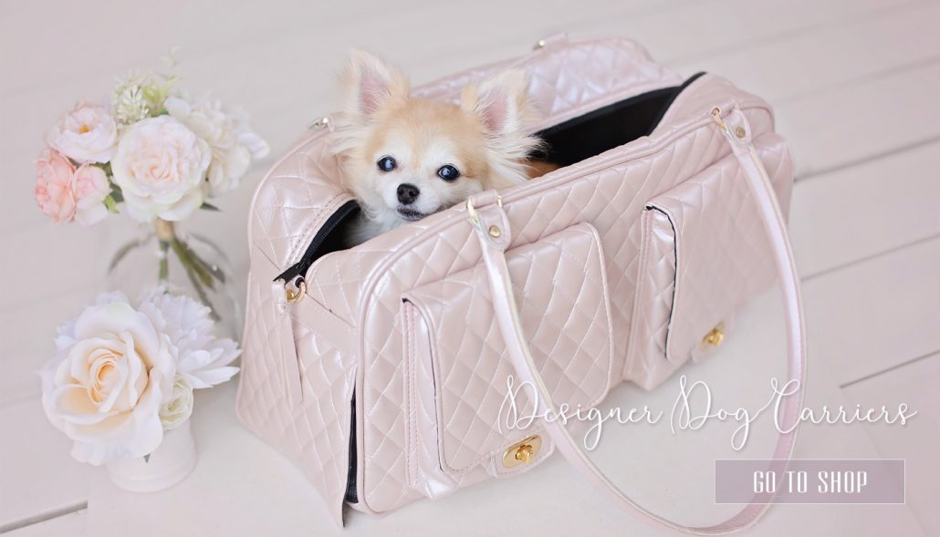 designer-teacup-dog-carriers | Teacup Puppies & Boutique